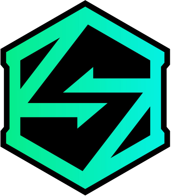 VK Gaming logo